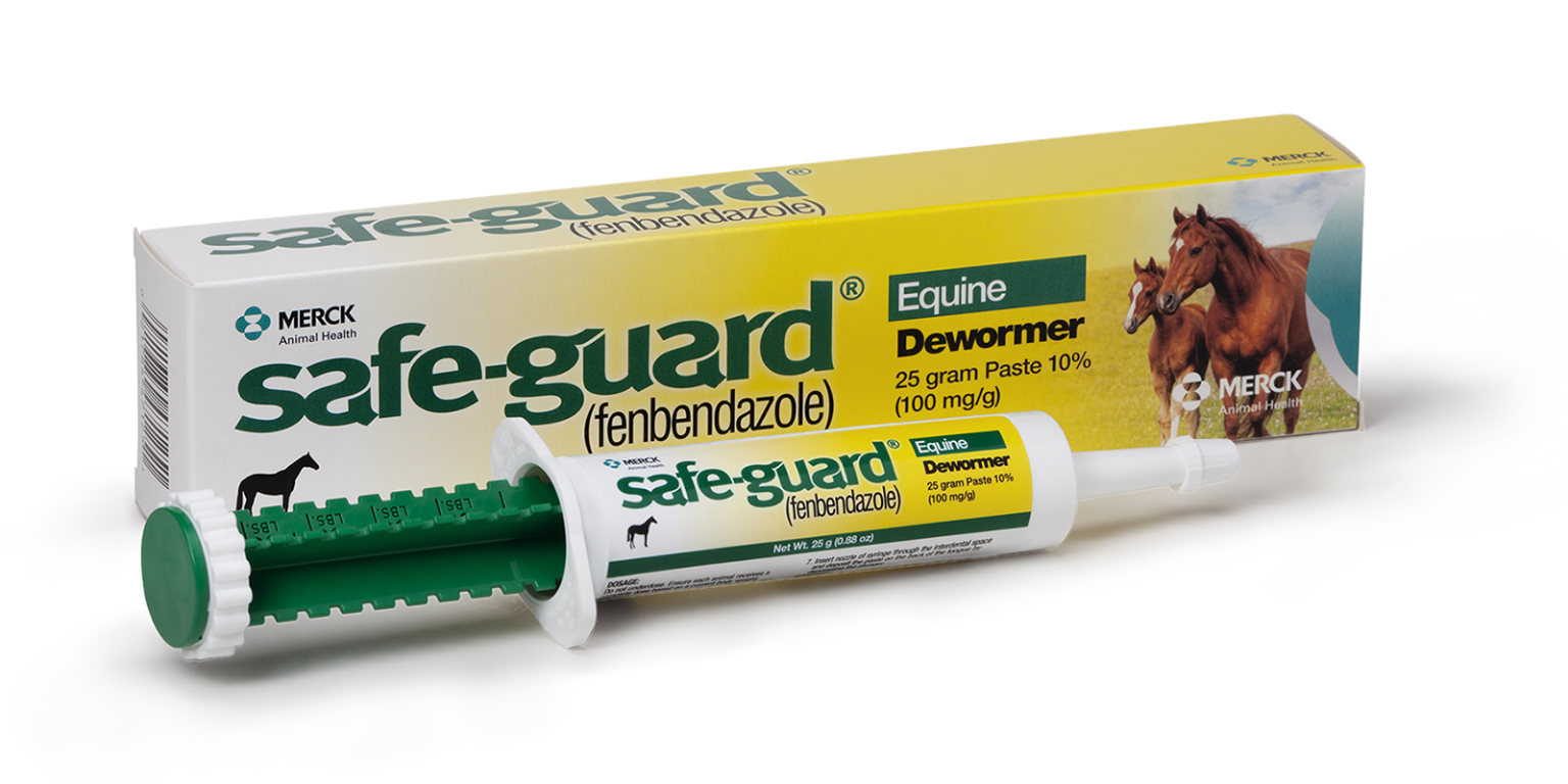 fenbendazole paste for horses