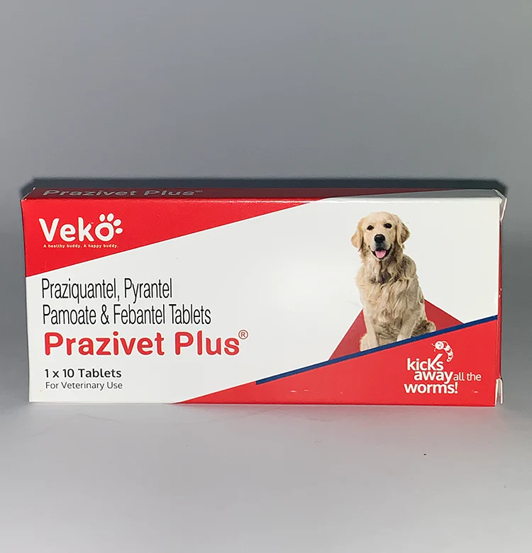 Praziquantel for dogs